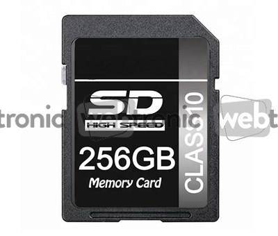 Ultispeed 256GB SDXC Kort (Class 10)