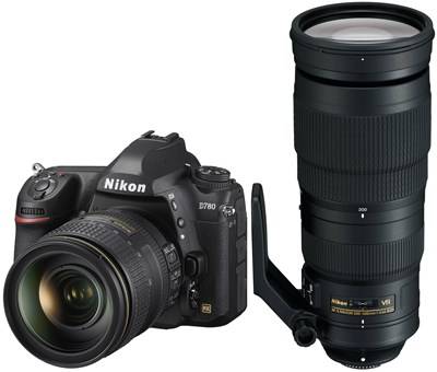 Nikon D780 + 24-120mm F4G ED VR + 200-500mm F5.6E ED VR