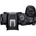 Canon EOS R8 + RF 24-105mm F4-7.1 IS STM + EF-RF Adaptor<span> + Free 128GB Card and UV Filter (Promotion)</span>