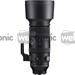 Sigma 60-600mm F4.5-6.3 DG DN OS Sports (Sony E)