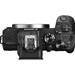 Canon EOS R8 II + EF-RF Adaptor