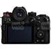 Panasonic Lumix DC-S1 R II<span> + Free Battery (Promotion)</span>