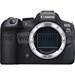 Canon EOS R6 II<span> + Gratis Batterij (Zomer Promotie)</span>